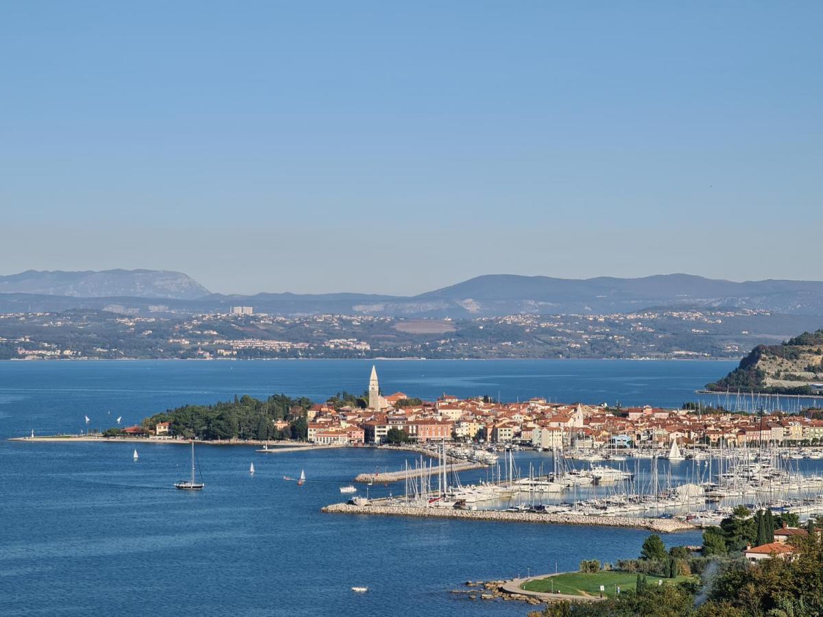 Apartma Sinitus Izola Zewnętrze zdjęcie
