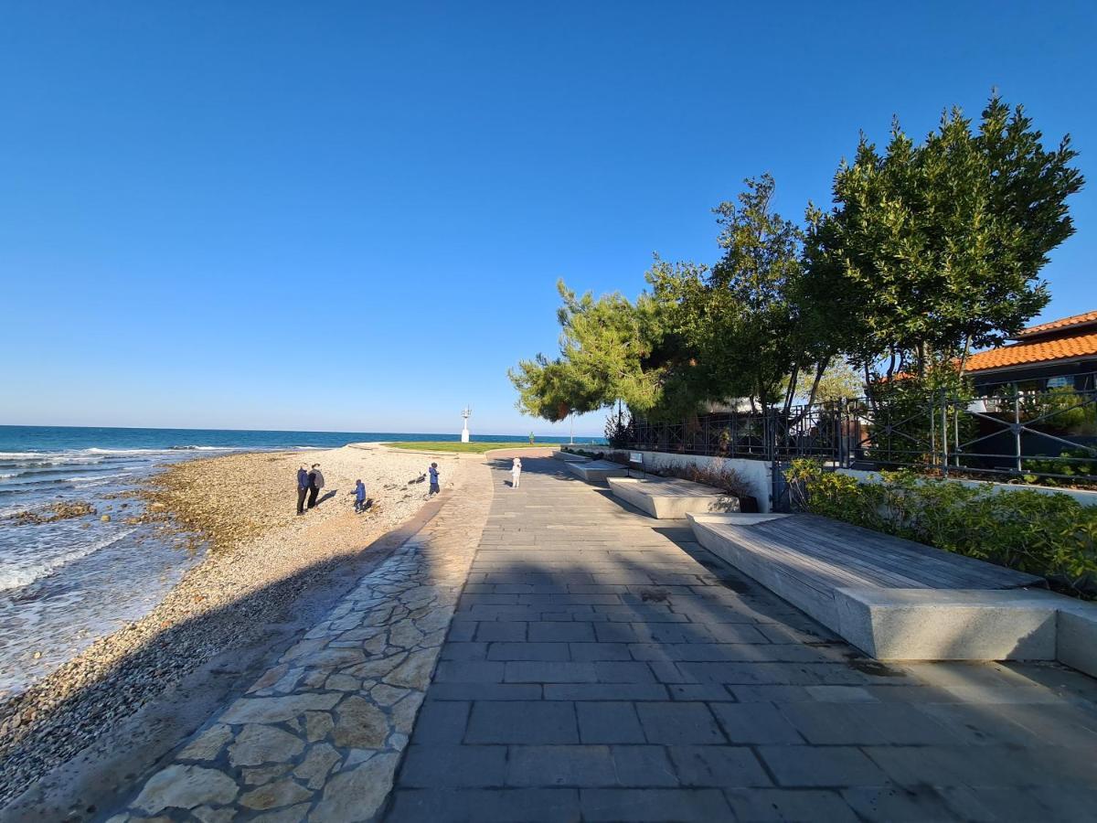 Apartma Sinitus Izola Zewnętrze zdjęcie